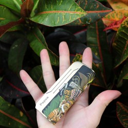 HIPPOVAPE PAPUA VV BOX MOD 80W